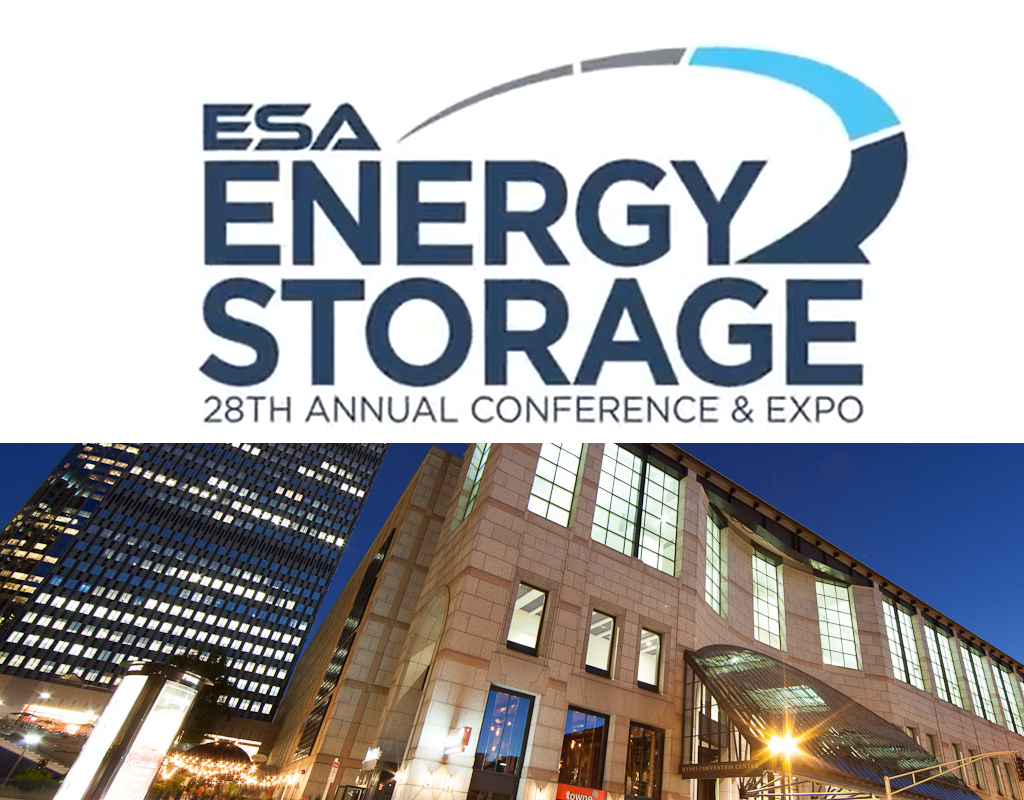 Electricity Storage Association Dandk Organizer